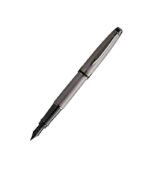 Waterman Expert Metallic Silver RT Fountain Pen