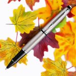 Waterman Expert Stainless Steel CT Rollerball Pen
