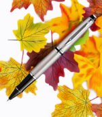 Waterman Expert Stainless Steel CT Rollerball Pen