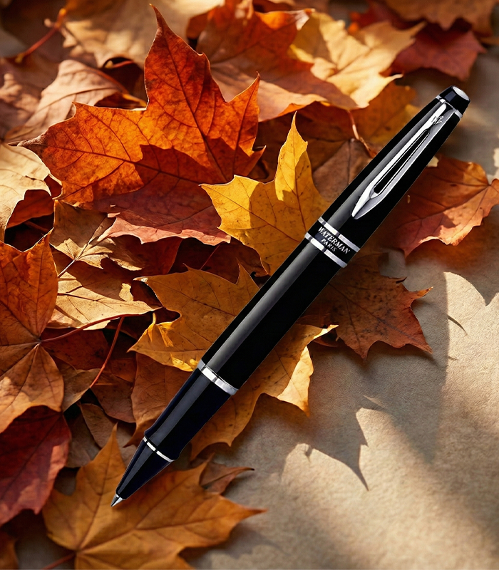 Untitled-7 Waterman Expert Mars Black CT Rollerball Pen - Image 1